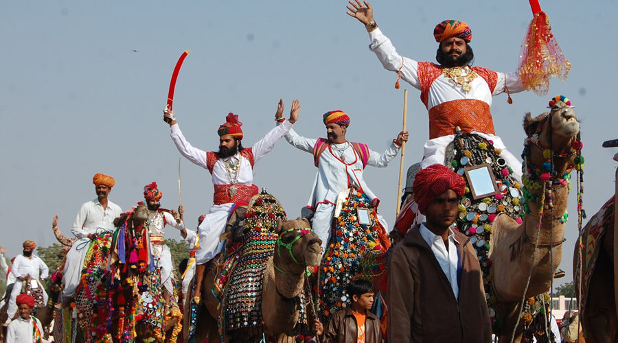 Camel-Festival